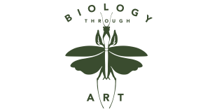 Biology through Art 