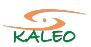 Kaleo